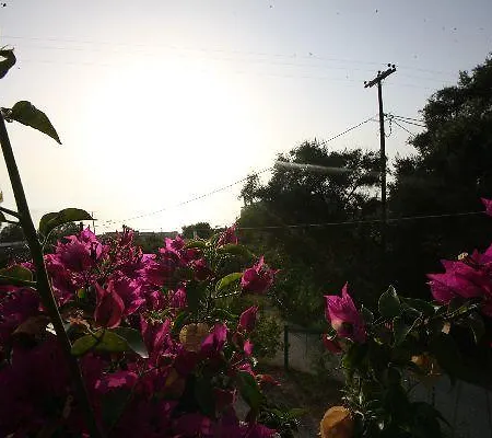 Summer Dream & * Άγιος Γόρδιος